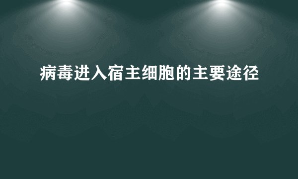 病毒进入宿主细胞的主要途径