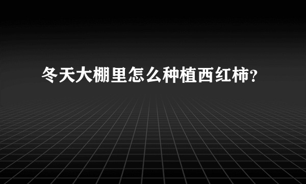 冬天大棚里怎么种植西红柿？