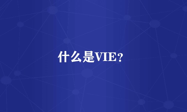 什么是VIE？