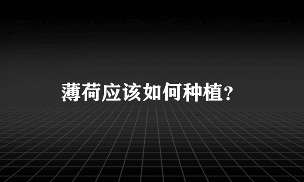 薄荷应该如何种植？