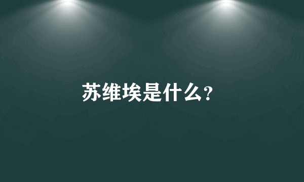 苏维埃是什么？