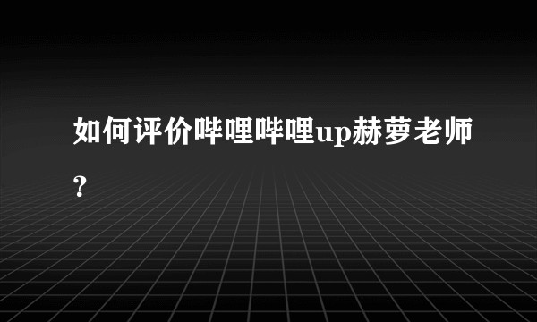 如何评价哔哩哔哩up赫萝老师？