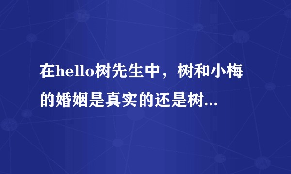 在hello树先生中，树和小梅的婚姻是真实的还是树妄想的？