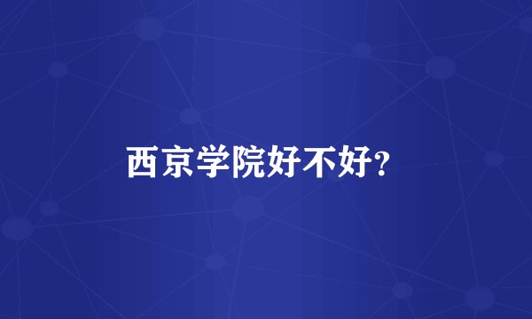 西京学院好不好？