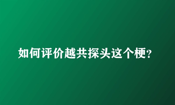 如何评价越共探头这个梗？