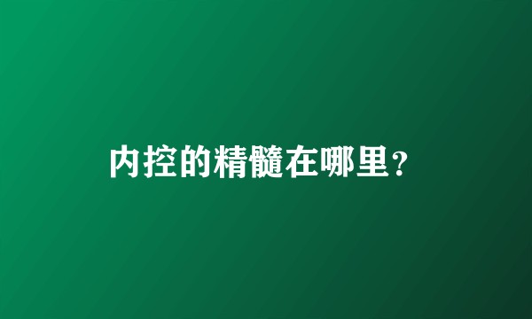内控的精髓在哪里？