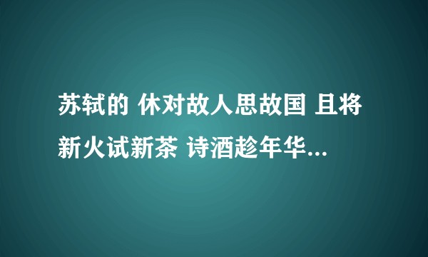 苏轼的 休对故人思故国 且将新火试新茶 诗酒趁年华 应该怎么理解？