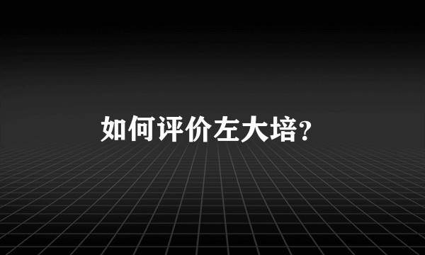 如何评价左大培？
