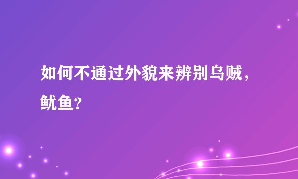 如何不通过外貌来辨别乌贼，鱿鱼？
