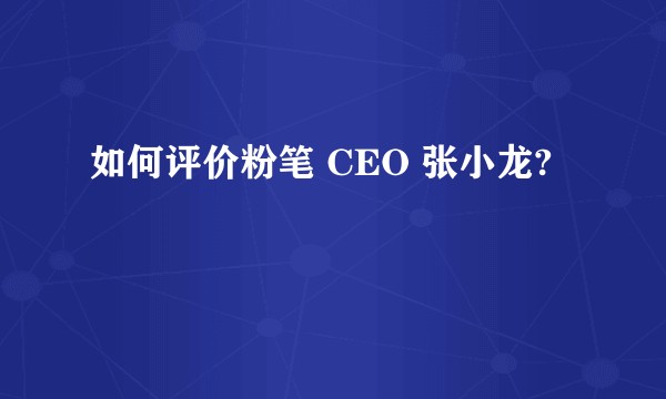如何评价粉笔 CEO 张小龙?