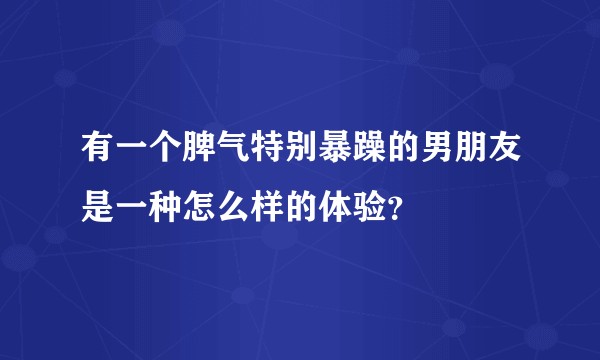 有一个脾气特别暴躁的男朋友是一种怎么样的体验？