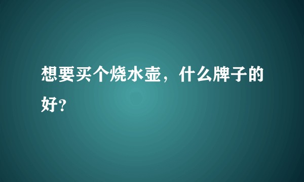 想要买个烧水壶，什么牌子的好？