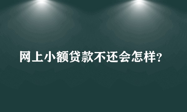 网上小额贷款不还会怎样？