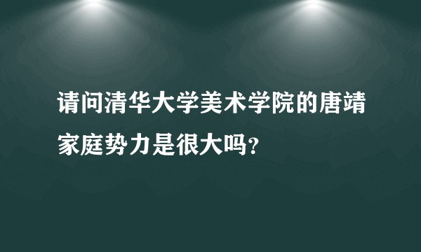 请问清华大学美术学院的唐靖家庭势力是很大吗？