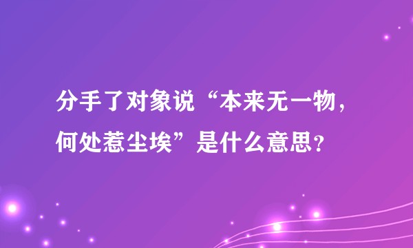分手了对象说“本来无一物，何处惹尘埃”是什么意思？