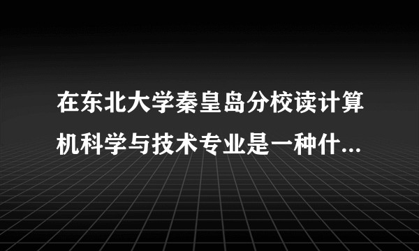 在东北大学秦皇岛分校读计算机科学与技术专业是一种什么体验？