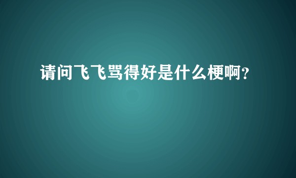 请问飞飞骂得好是什么梗啊？