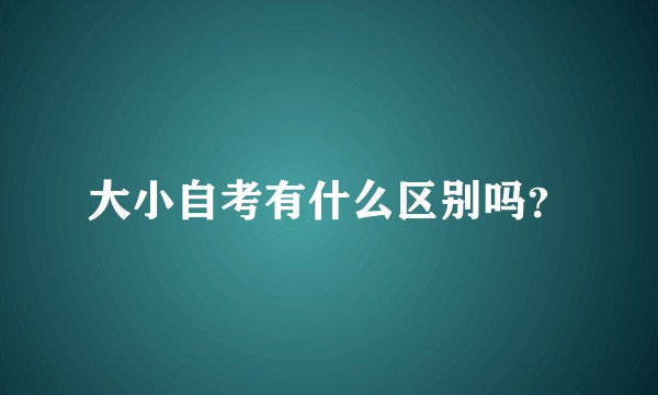 大小自考有什么区别吗？