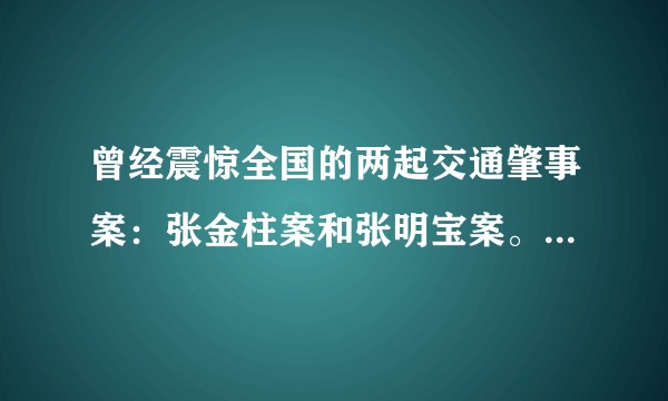 曾经震惊全国的两起交通肇事案：张金柱案和张明宝案。其判决量刑是否适当？