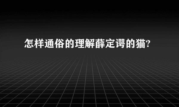 怎样通俗的理解薛定谔的猫?