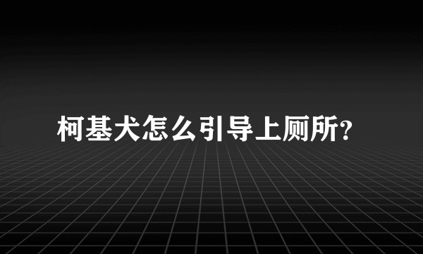 柯基犬怎么引导上厕所？