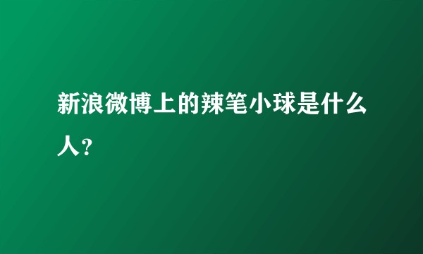 新浪微博上的辣笔小球是什么人？