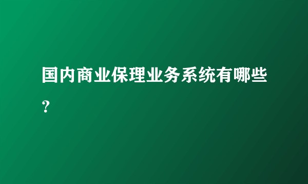 国内商业保理业务系统有哪些？