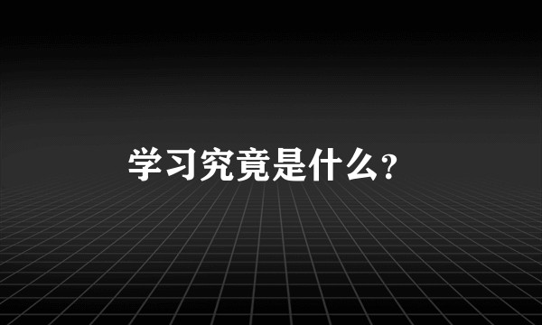 学习究竟是什么？