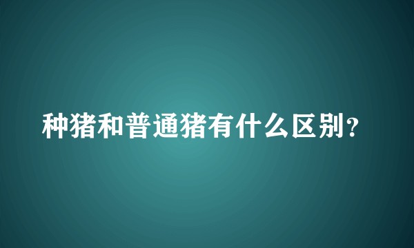 种猪和普通猪有什么区别？