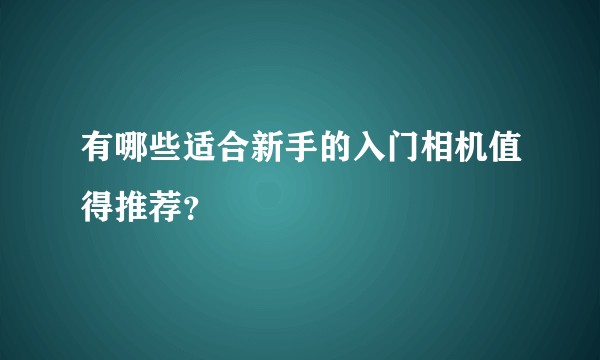 有哪些适合新手的入门相机值得推荐？
