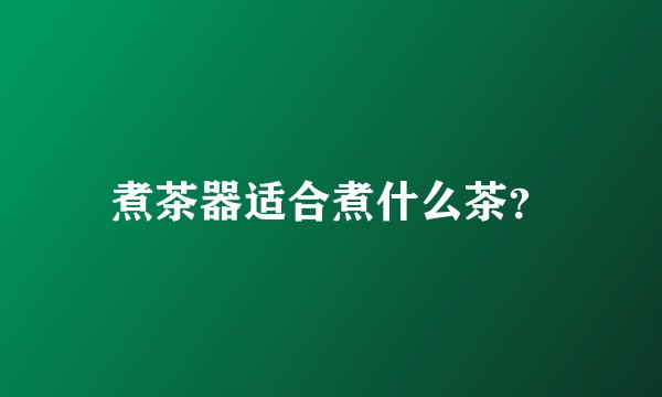煮茶器适合煮什么茶？