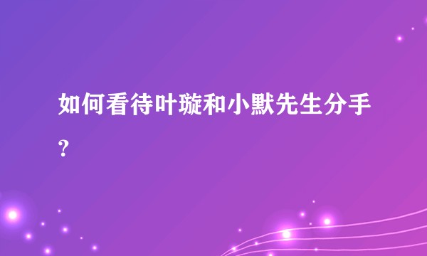 如何看待叶璇和小默先生分手？