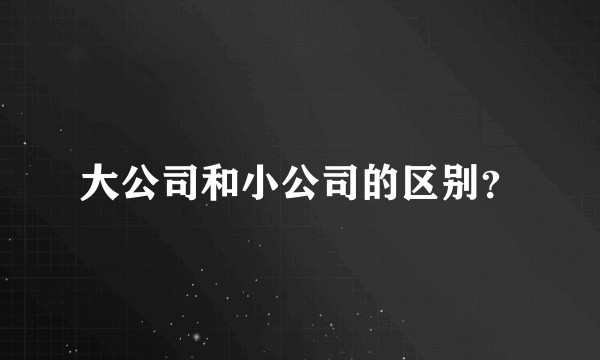 大公司和小公司的区别？