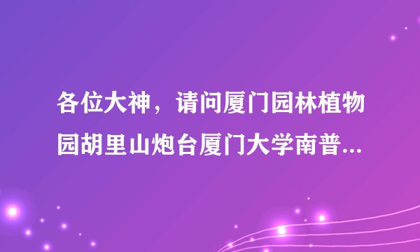 各位大神，请问厦门园林植物园胡里山炮台厦门大学南普陀寺白城沙滩曾厝垵环岛路中山路这些地方怎么安排路线?
