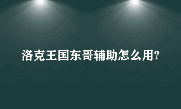 洛克王国东哥辅助怎么用?