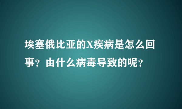 埃塞俄比亚的X疾病是怎么回事?由什么病毒导致的呢?