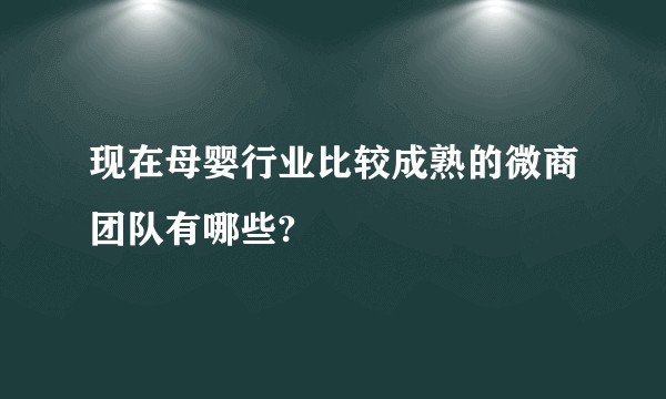 现在母婴行业比较成熟的微商团队有哪些?