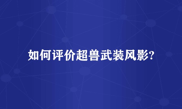 如何评价超兽武装风影?