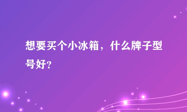 想要买个小冰箱，什么牌子型号好？