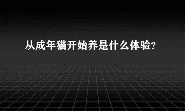 从成年猫开始养是什么体验？