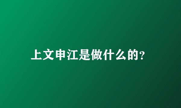 上文申江是做什么的？