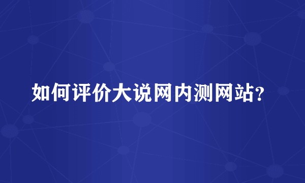 如何评价大说网内测网站？