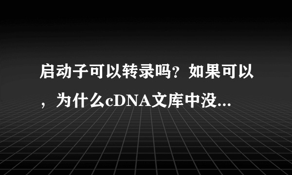 启动子可以转录吗？如果可以，为什么cDNA文库中没有启动子？