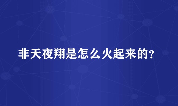 非天夜翔是怎么火起来的？