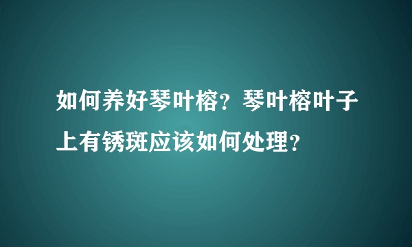 如何养好琴叶榕？琴叶榕叶子上有锈斑应该如何处理？