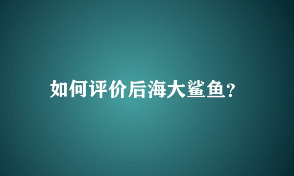 如何评价后海大鲨鱼？