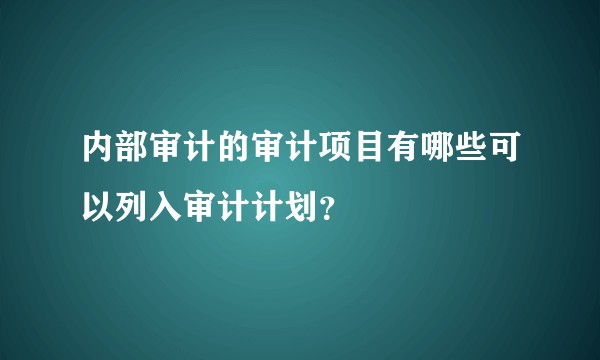 内部审计的审计项目有哪些可以列入审计计划?