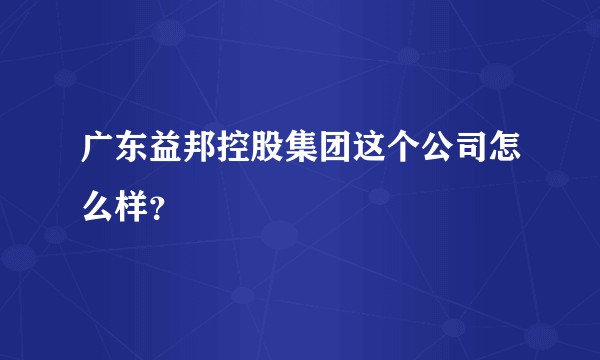 广东益邦控股集团这个公司怎么样？