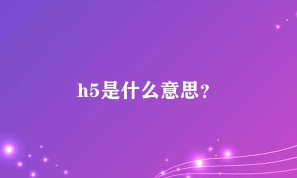 h5是什么意思？