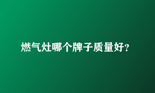 燃气灶哪个牌子质量好？